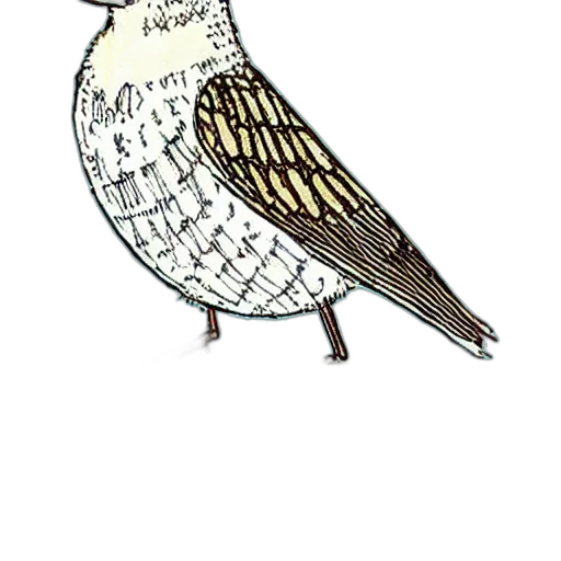 animal, staff, dress, crown transparent PNG cut-out
