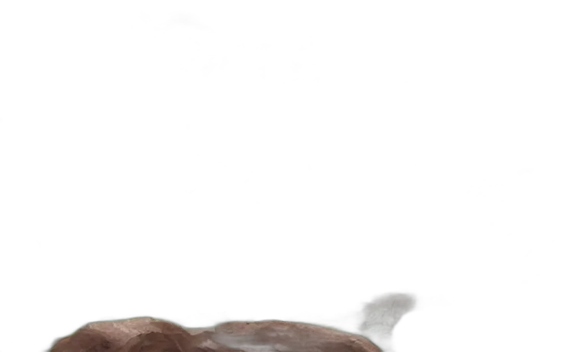 animal, hair, creature, hat transparent PNG cut-out