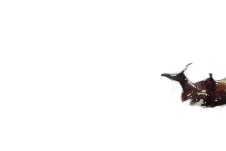 staff, sword, weapon, crown transparent PNG cut-out