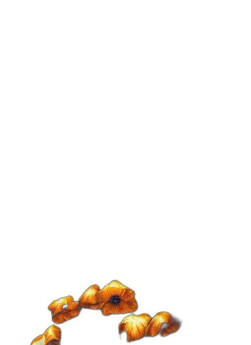 food, shoes, crown, hat, pixel art, 3d render, concept art, photorealistic transparent PNG cut-out