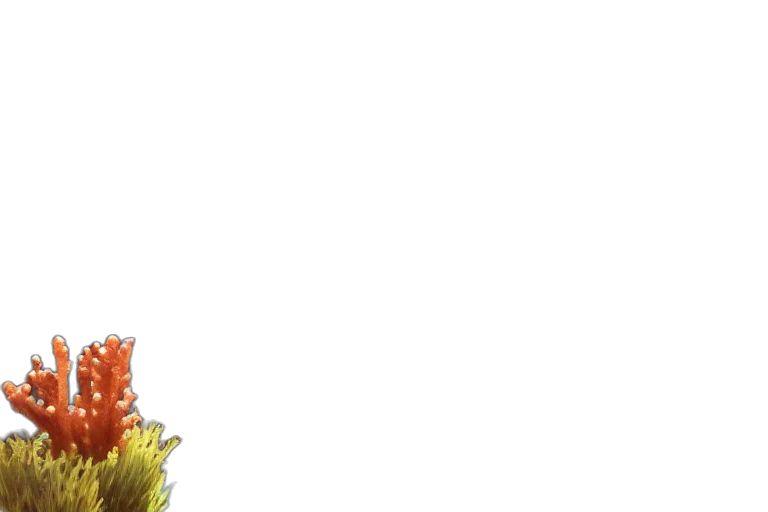staff, flower, dragon, crown, pixel art, anime, concept art, 3d render transparent PNG cut-out