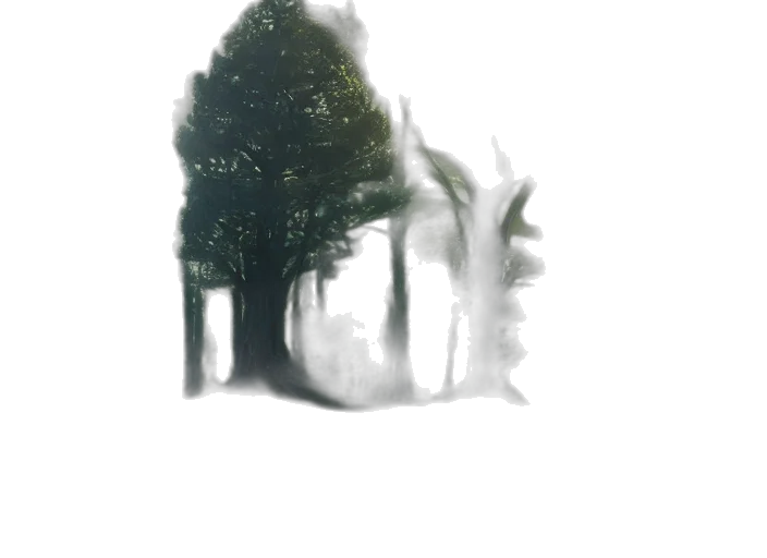 tree, creature, face, mask transparent PNG cut-out