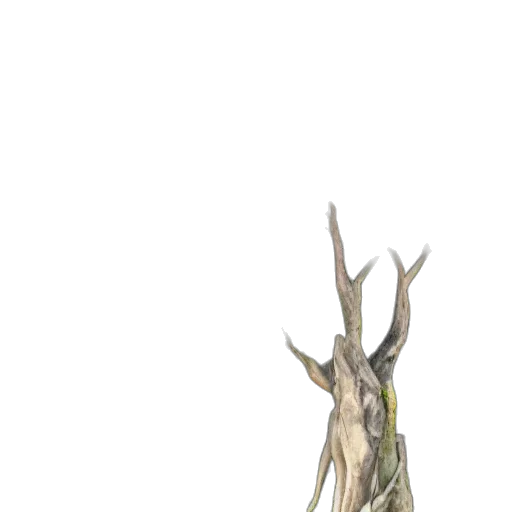 animal, staff, creature, crown, concept art, 3d render, fantasy art, photorealistic transparent PNG cut-out