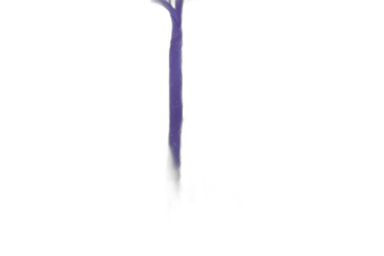 staff, sword, weapon, umbrella transparent PNG cut-out