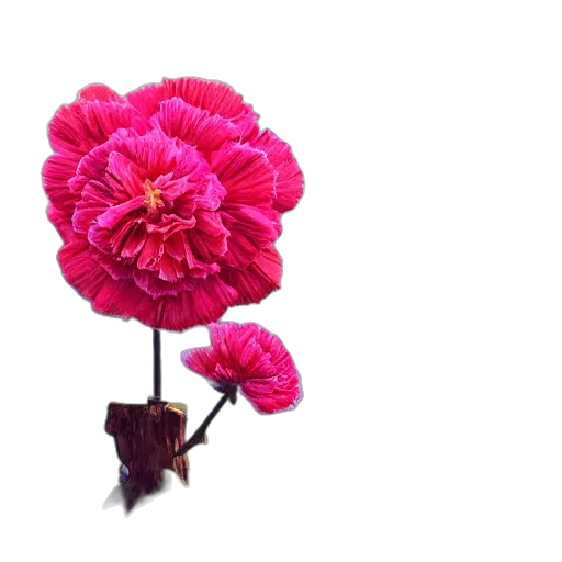 flower, crown, umbrella, staff transparent PNG cut-out