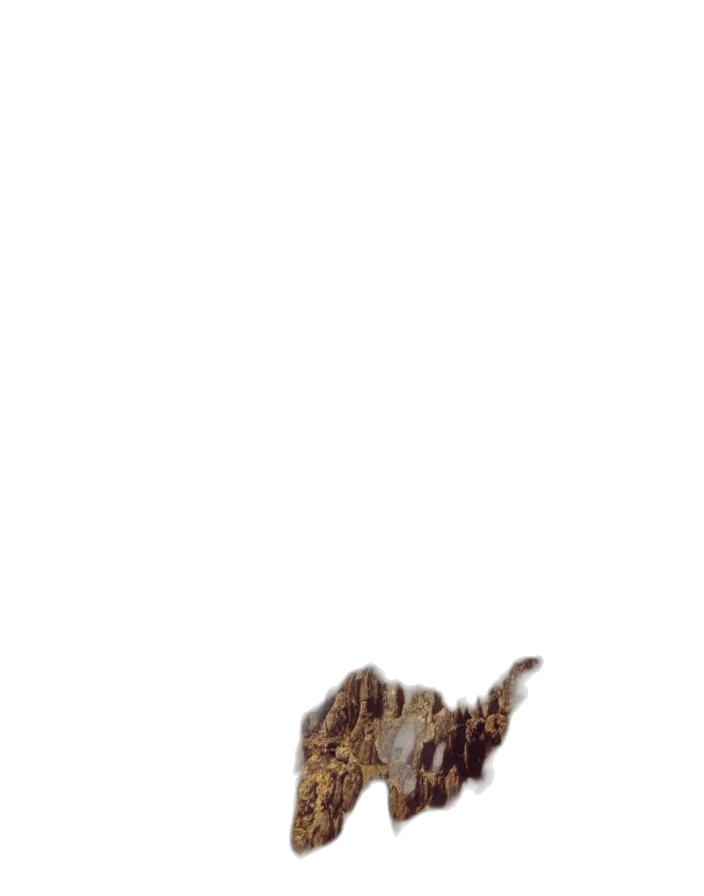 hair, animal, dragon, crown transparent PNG cut-out