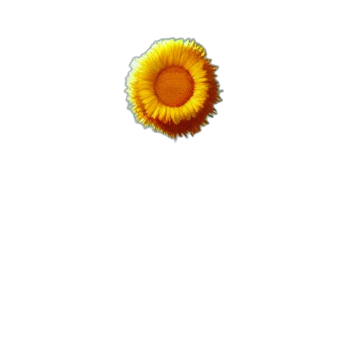 flower, staff, crown, jewelry transparent PNG cut-out