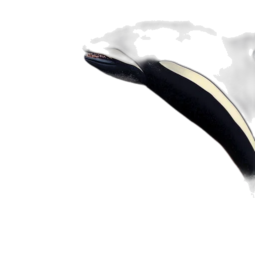 shoes, hat, sword, crown, 3d render, photorealistic, concept art, fantasy art transparent PNG cut-out