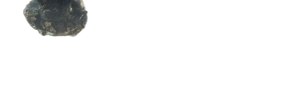staff, face, monochrome, pastel transparent PNG cut-out