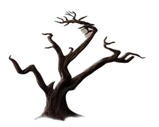 tree, hair, crown, creature transparent PNG cut-out