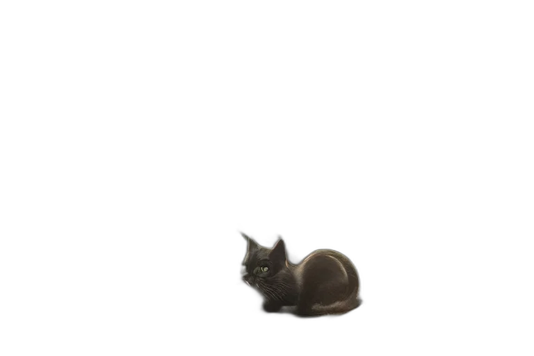 animal, creature, staff, hair transparent PNG cut-out