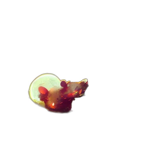 food, animal, creature, staff transparent PNG cut-out