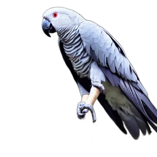 animal, staff, creature, jewelry transparent PNG cut-out