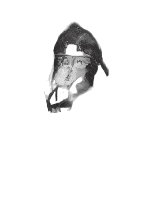 mask, face, animal, creature transparent PNG cut-out