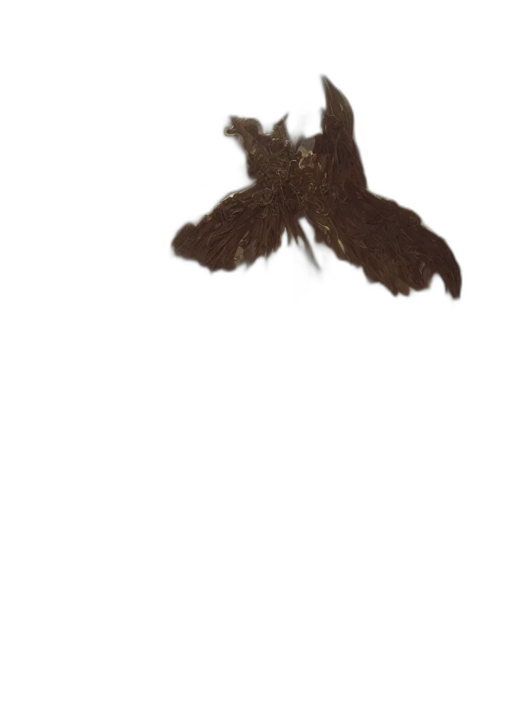 animal, hair, dragon, creature transparent PNG cut-out