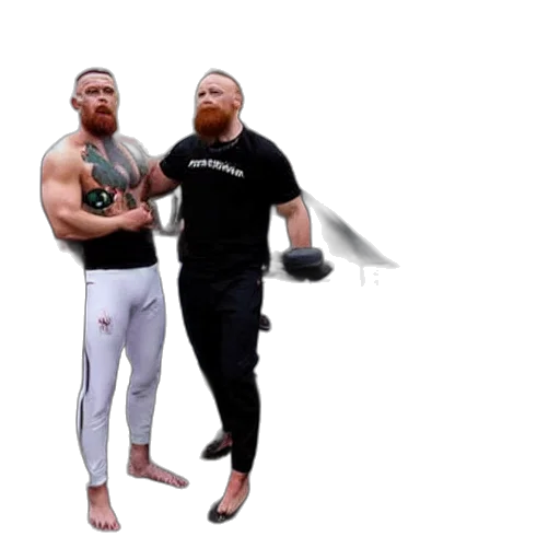 concept art, 3d render, pixel art, photorealistic transparent PNG cut-out