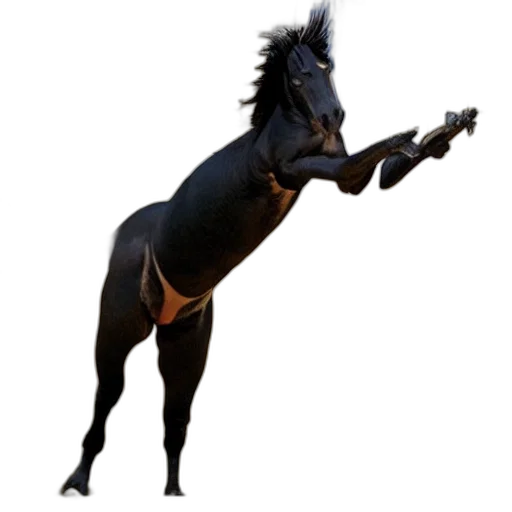 animal, creature, dragon, staff transparent PNG cut-out