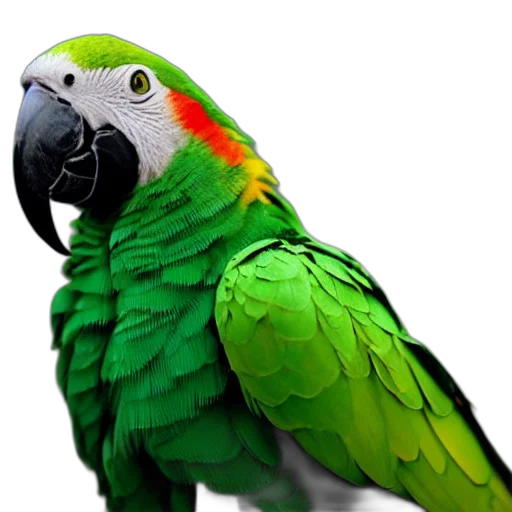 animal, jewelry, staff, creature transparent PNG cut-out