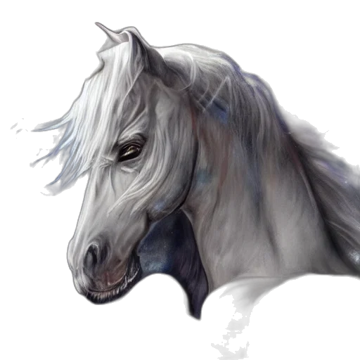 dragon, creature, animal, face, photorealistic, fantasy art, watercolor, concept art transparent PNG cut-out