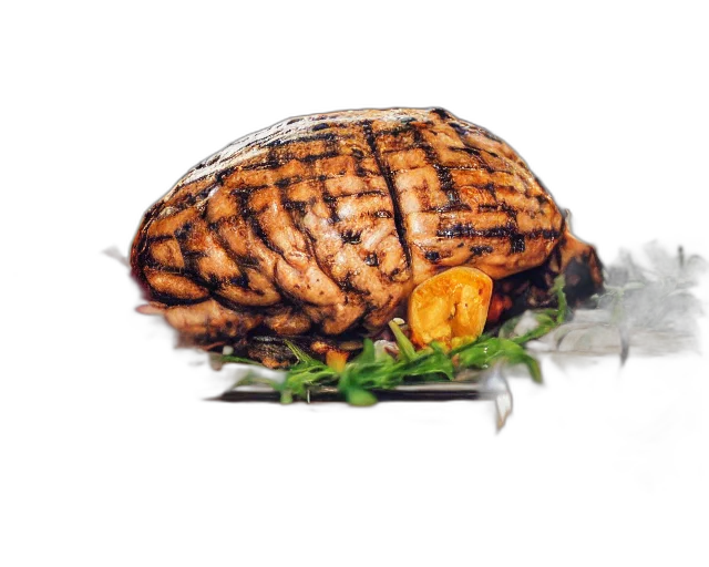 food, hat, animal, jacket, photorealistic, 3d render, photography, large transparent PNG cut-out