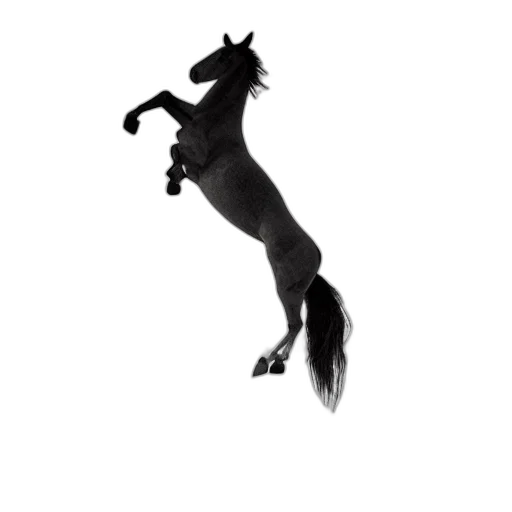 animal, staff, hair, dragon transparent PNG cut-out