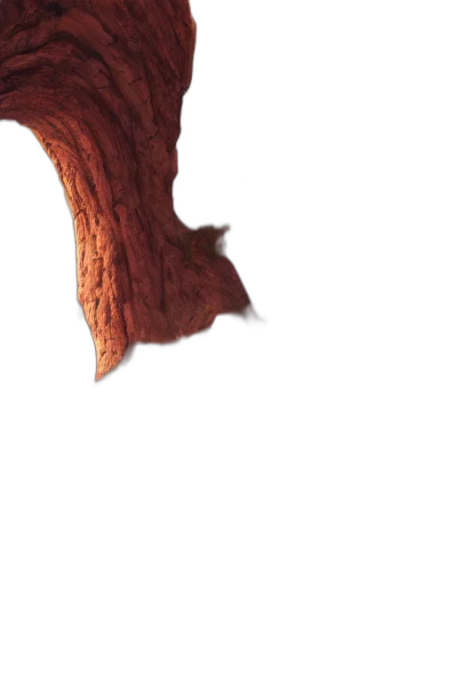 tree, hair, animal, face transparent PNG cut-out