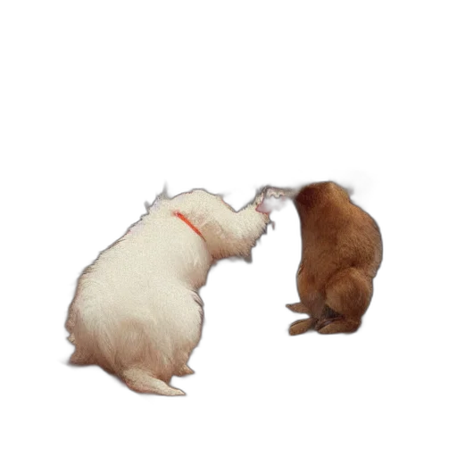 animal, food, concept art, 3d render, photorealistic, very, aggressive, bunnies transparent PNG cut-out