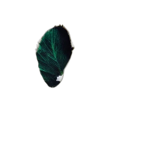 hair, hat, creature, animal, pixel art, photorealistic, 3d render, concept art transparent PNG cut-out