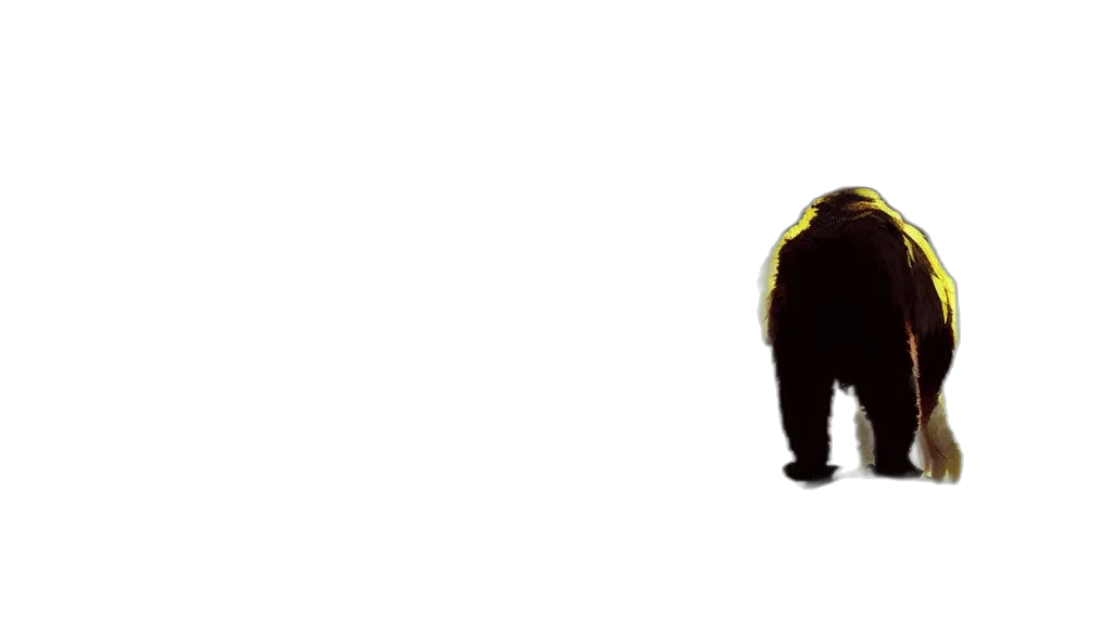 animal, creature, staff, hair transparent PNG cut-out