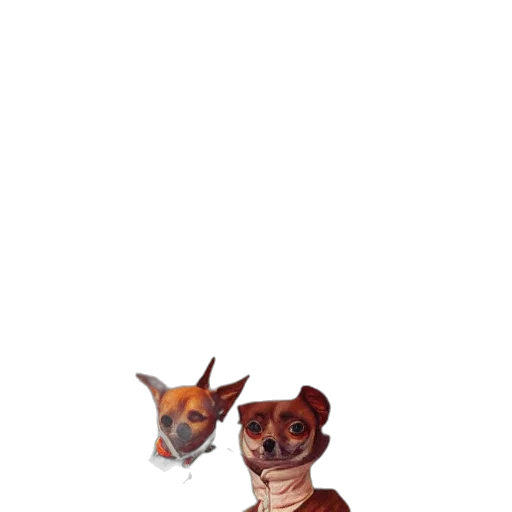 animal, staff, creature, face transparent PNG cut-out