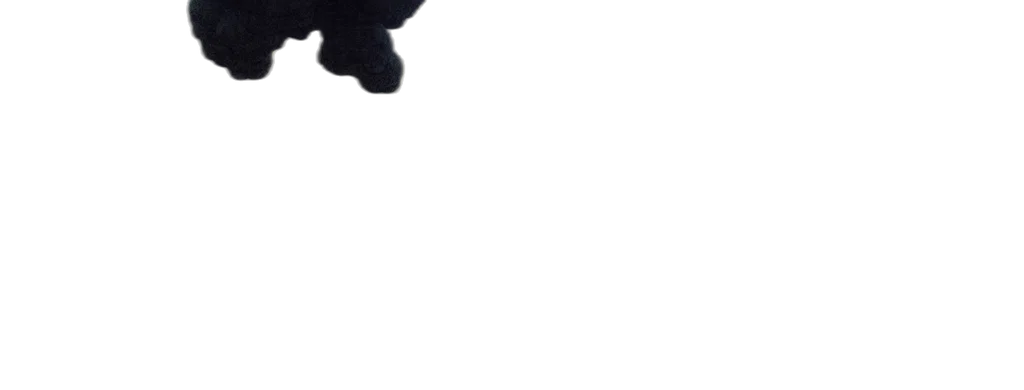umbrella, shoes, face, staff transparent PNG cut-out