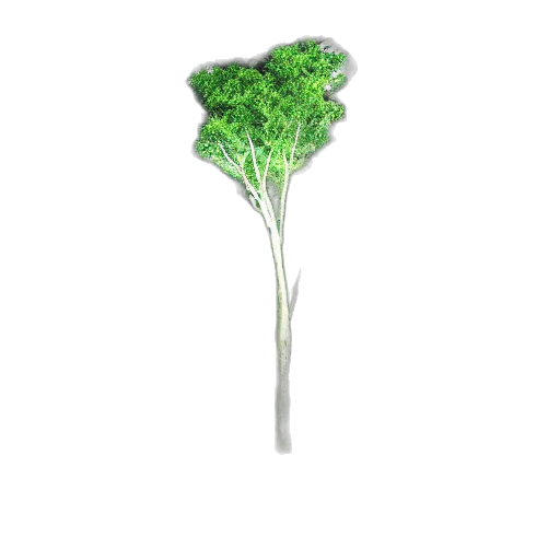 food, tree, crown, weapon transparent PNG cut-out