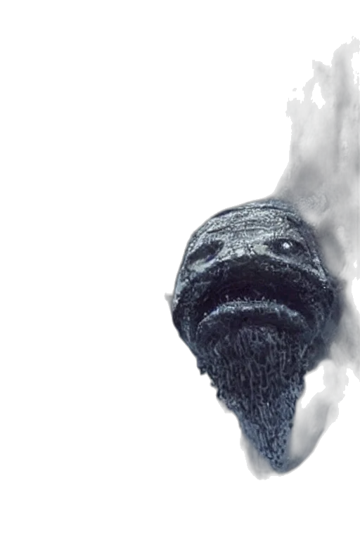mask, dragon, hair, face transparent PNG cut-out