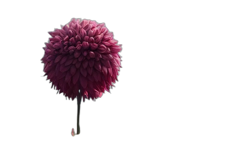 flower, umbrella, tree, crown, 3d render, concept art, photorealistic, fantasy art transparent PNG cut-out