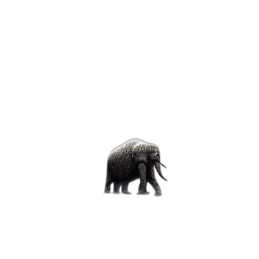 animal, creature, hair, hat transparent PNG cut-out