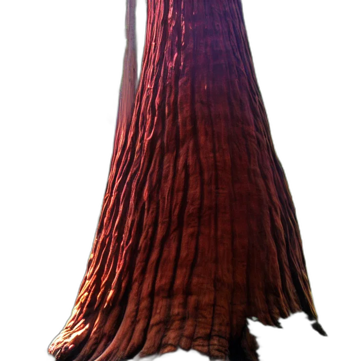 dress, tree, staff, hair transparent PNG cut-out