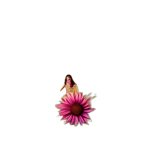 flower, dress, umbrella, hair transparent PNG cut-out