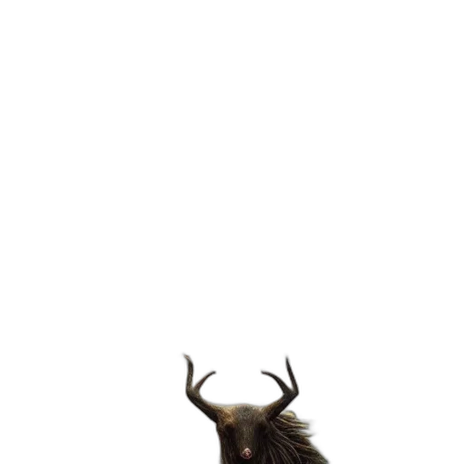 animal, creature, hair, crown transparent PNG cut-out