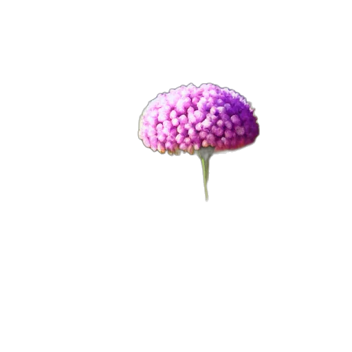 flower, umbrella, crown, hat, 3d render, pixel art, concept art, photorealistic transparent PNG cut-out
