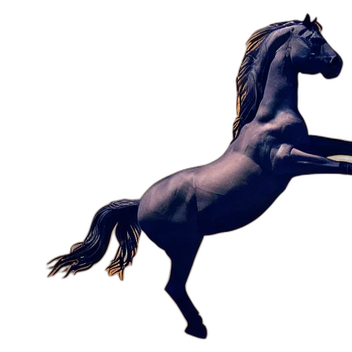 animal, dragon, creature, hair transparent PNG cut-out