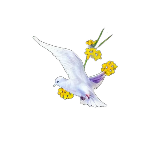 flower, dragon, weapon, animal transparent PNG cut-out