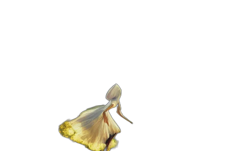 dress, flower, shoes, crown, concept art, fantasy art, watercolor, pixel art transparent PNG cut-out