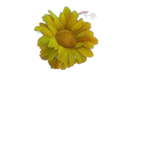 flower, crown, staff, food transparent PNG cut-out