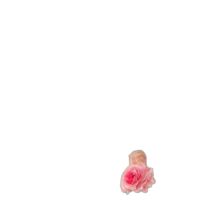 hair, creature, dress, animal transparent PNG cut-out