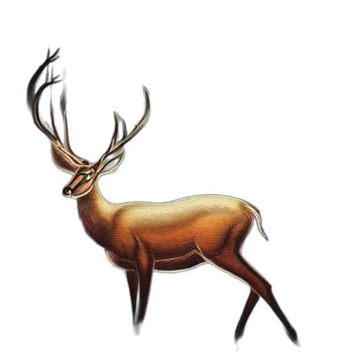 animal, crown, creature, staff transparent PNG cut-out