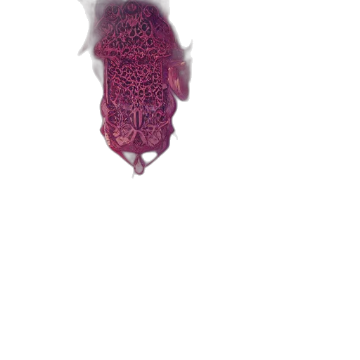 animal, creature, flower, hair transparent PNG cut-out