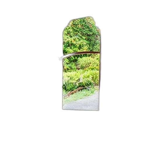 bottle, tree, dress, furniture transparent PNG cut-out