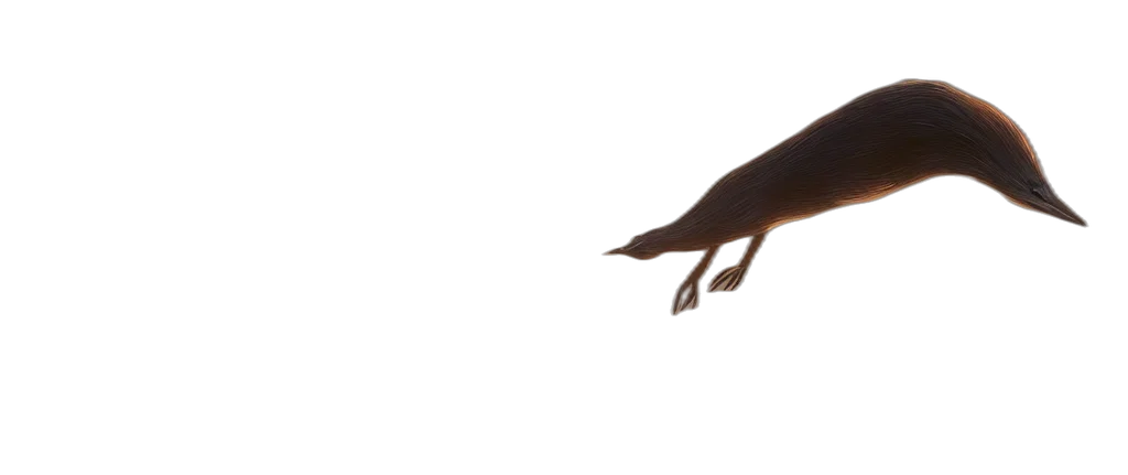 animal, creature, dragon, shoes, 3d render, concept art, photorealistic, watercolor transparent PNG cut-out
