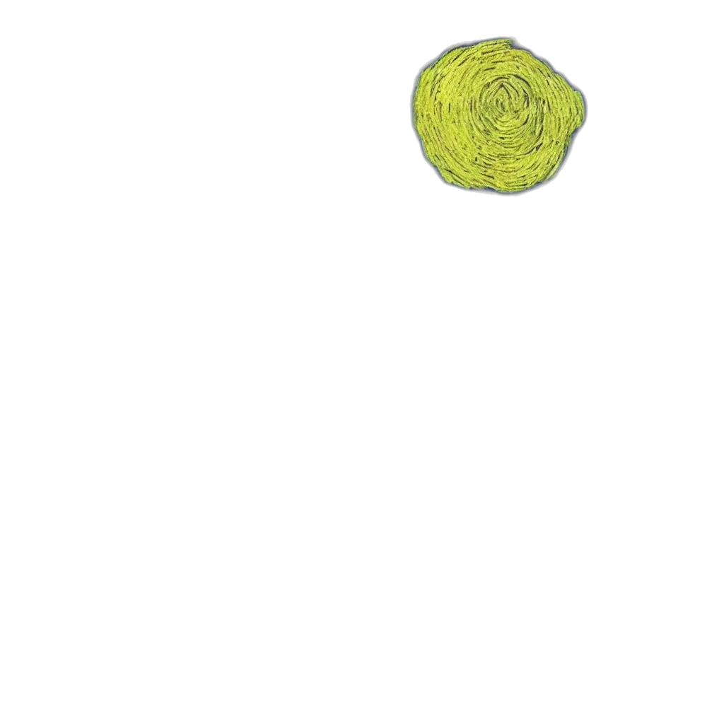 food, flower, umbrella, tree, photorealistic, 3d render, pixel art, concept art transparent PNG cut-out