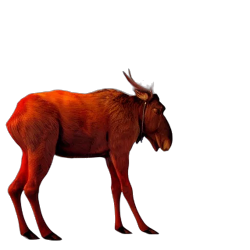 animal, creature, dragon, crown, concept art, 3d render, photorealistic, pixel art transparent PNG cut-out